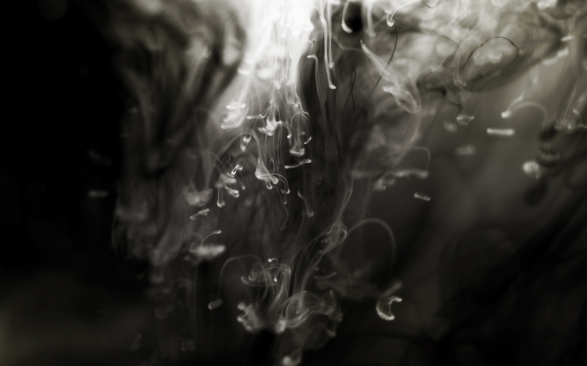 Ink Drops Wallpaper Pack 1 by Momentanaufnahme on DeviantArt Ink Drops Wallpaper Pack 1 by Momentanaufnahme on DeviantArt