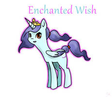 Enchanted Wish