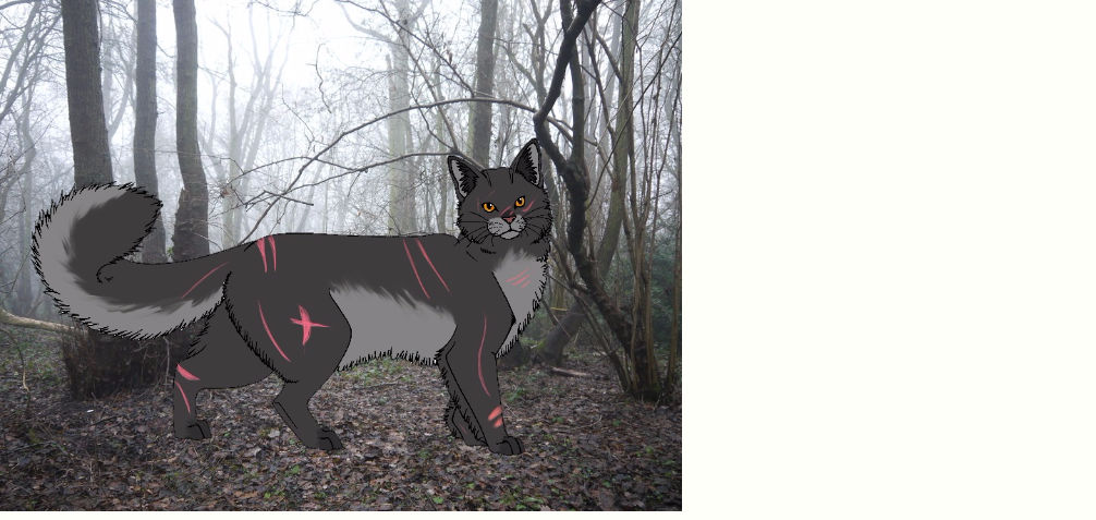 Warrior Cat OC by Demiquaver on DeviantArt