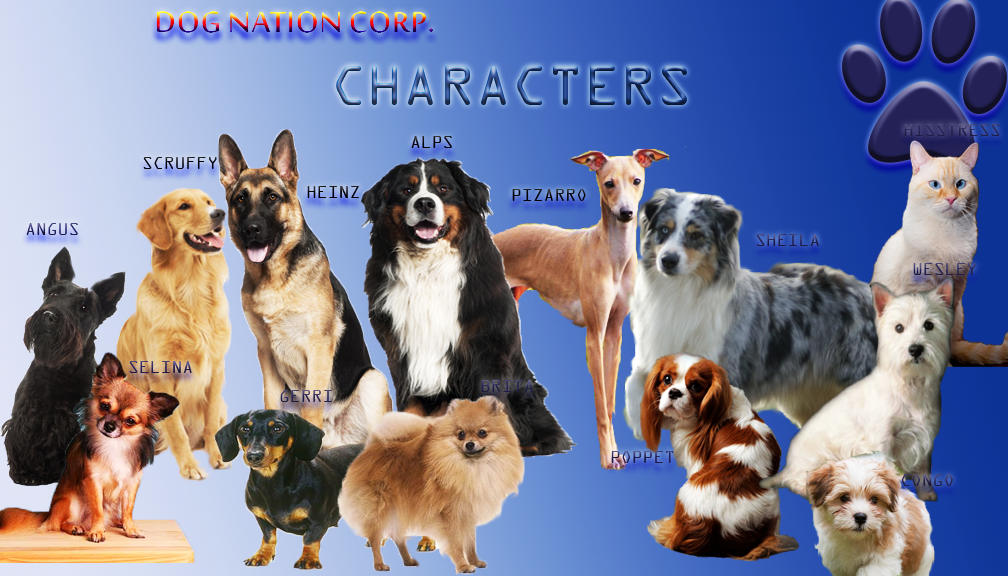 DOG NATION CORP Character profile