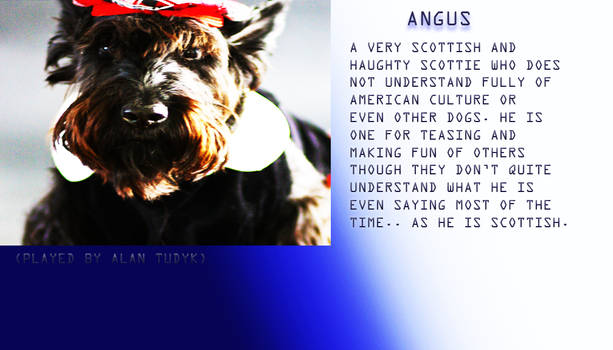 Angus Profile