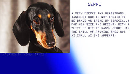 Gerri Profile