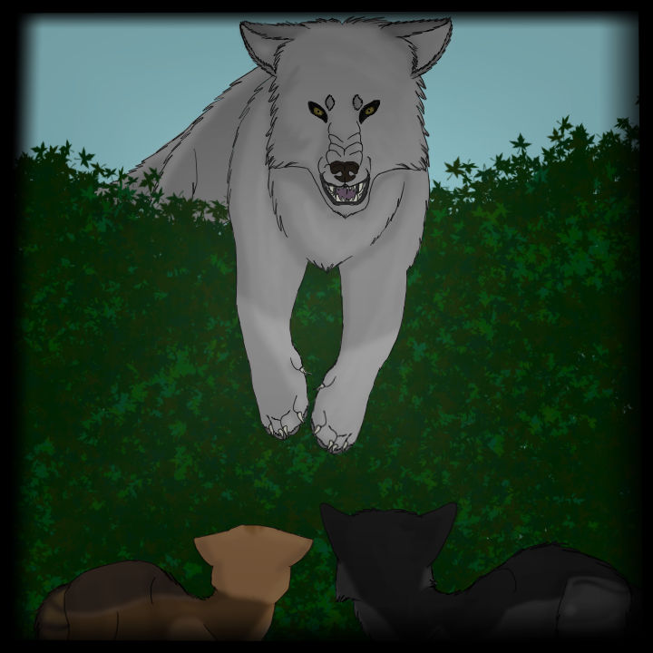 Wolf Attack by Dragonkeeper6 on DeviantArt