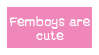 Femboys are cute