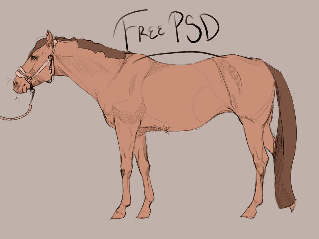 Free horse line! by Rowantrees3 on DeviantArt