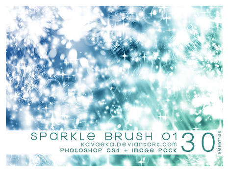 Sparkle Brushes 1