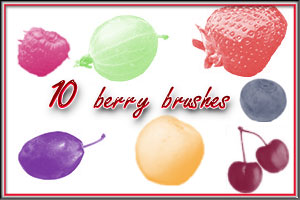 Berry Bruches