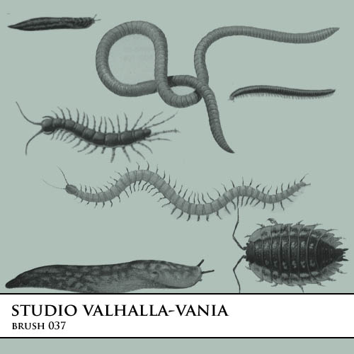 brush.037