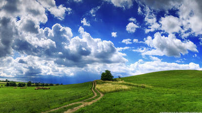 Hungarian skies pt.XC. - WP