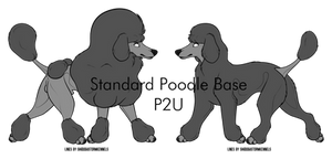 Standard Poodle Base P2U