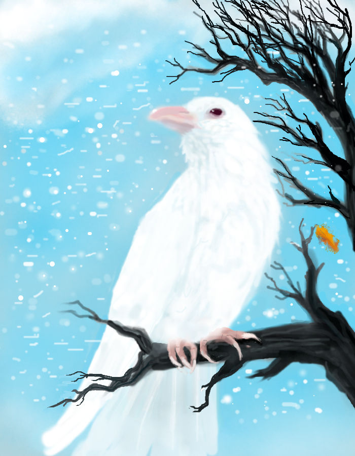 White Raven by mannon16 on DeviantArt
