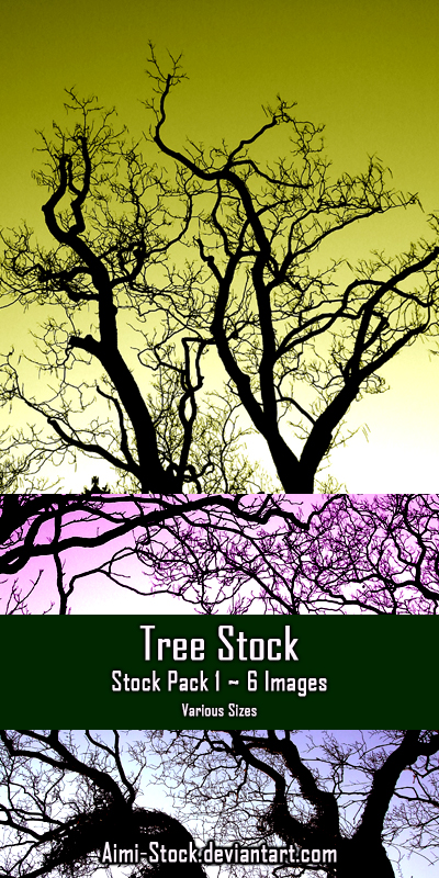 Tree Stock - Pack 1 by Aimi-Stock on DeviantArt