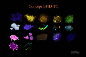 Concept BHD TC BrushSet Autodesk Sketchbook Pro