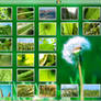 Vplants X3