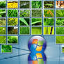 Vplants3