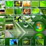 Vplants 6