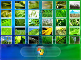 Vplants 7