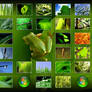 Vplants 9