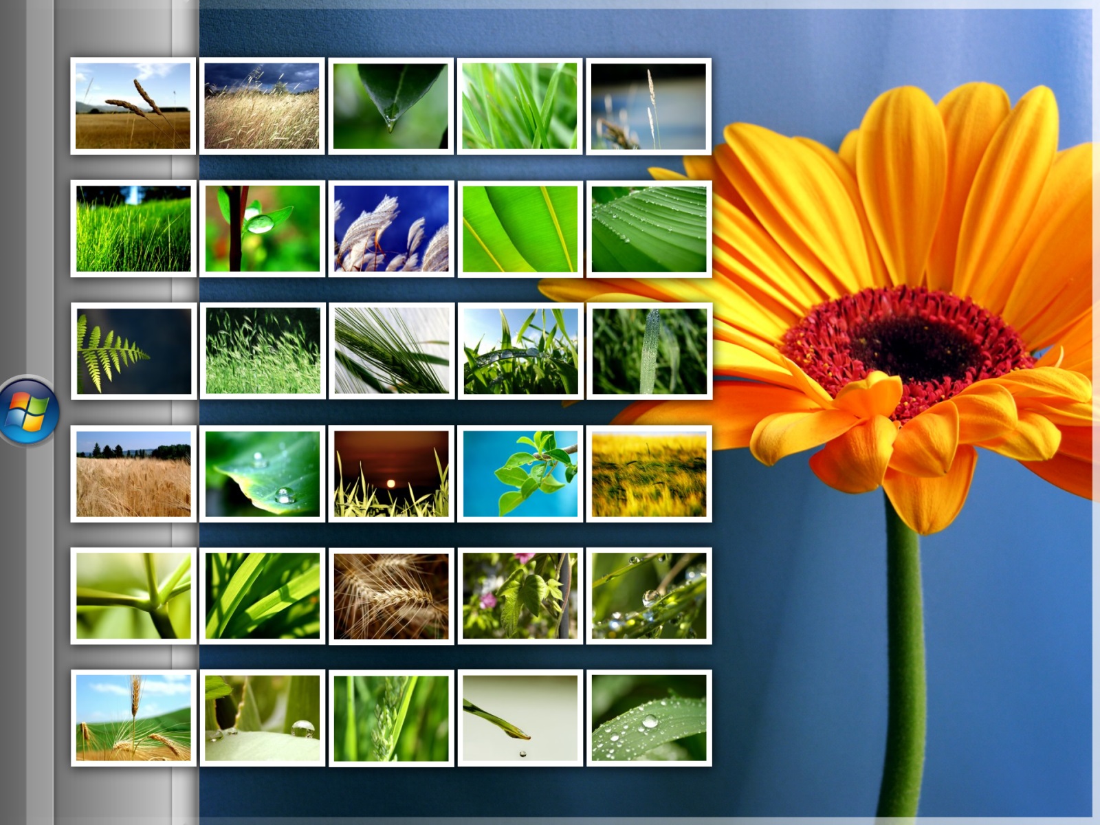 Vplants 12