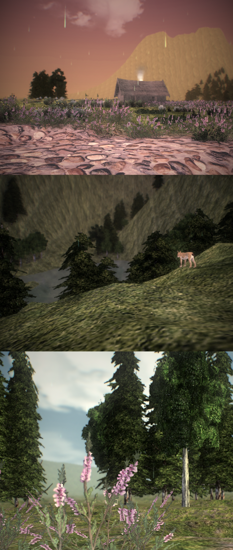 Feral Heart: Misty Woods *Download*