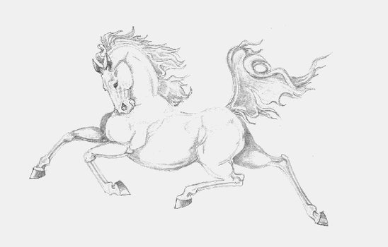 Proud trotter