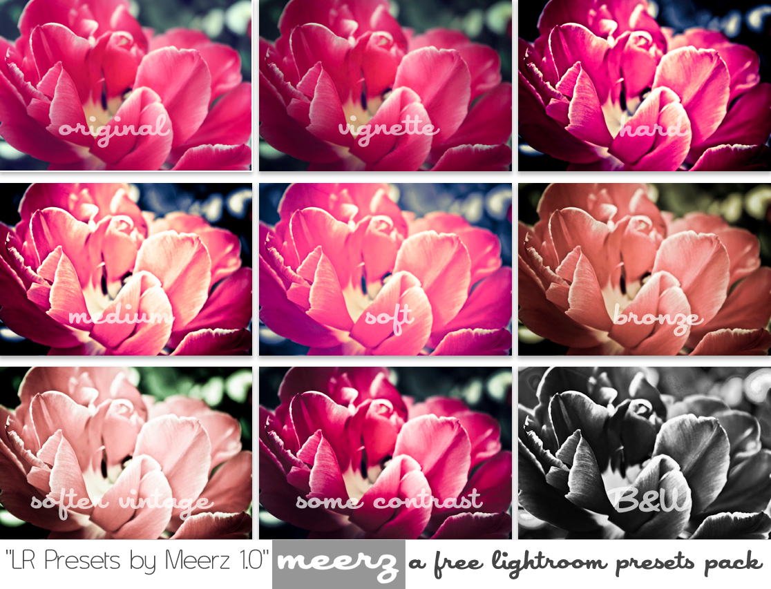 LR Presets by Meerz 1.0