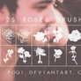 {25 Roses Brushes}