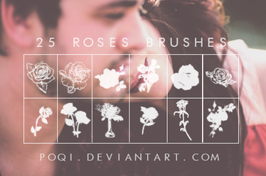 {25 Roses Brushes}