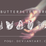 {6 Butterflies Brushes}