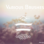 {Various Brushes}
