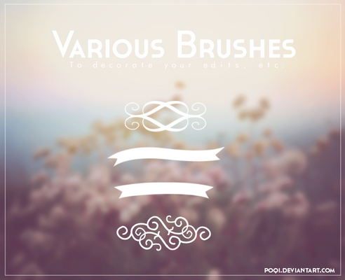 {Various Brushes}