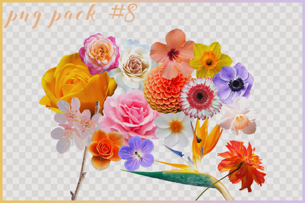 png pack eight // 16 flower pngs by intoxicatedvogue on DeviantArt