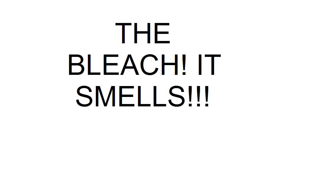THE BLEACH!! IT SMELLS! by PandDoodle on DeviantArt