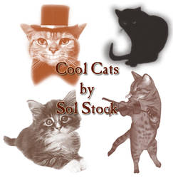 Cool Cats Brushes