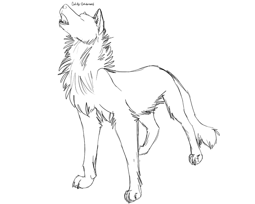 Free wolf lineart read rules