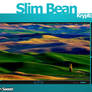 Slim Bean VlC Media Player Skin