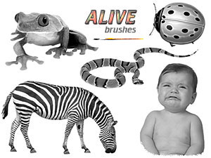 PS Brushes - Alive