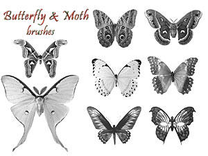 PS Brushes - Butterflies