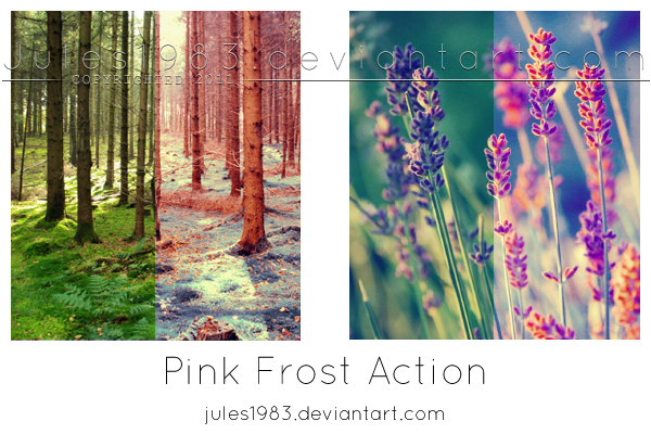 PS: Pink Frost Action