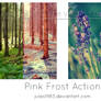 PS: Pink Frost Action