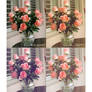 ATN: Roses and Milk