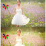LR: Summer Presets