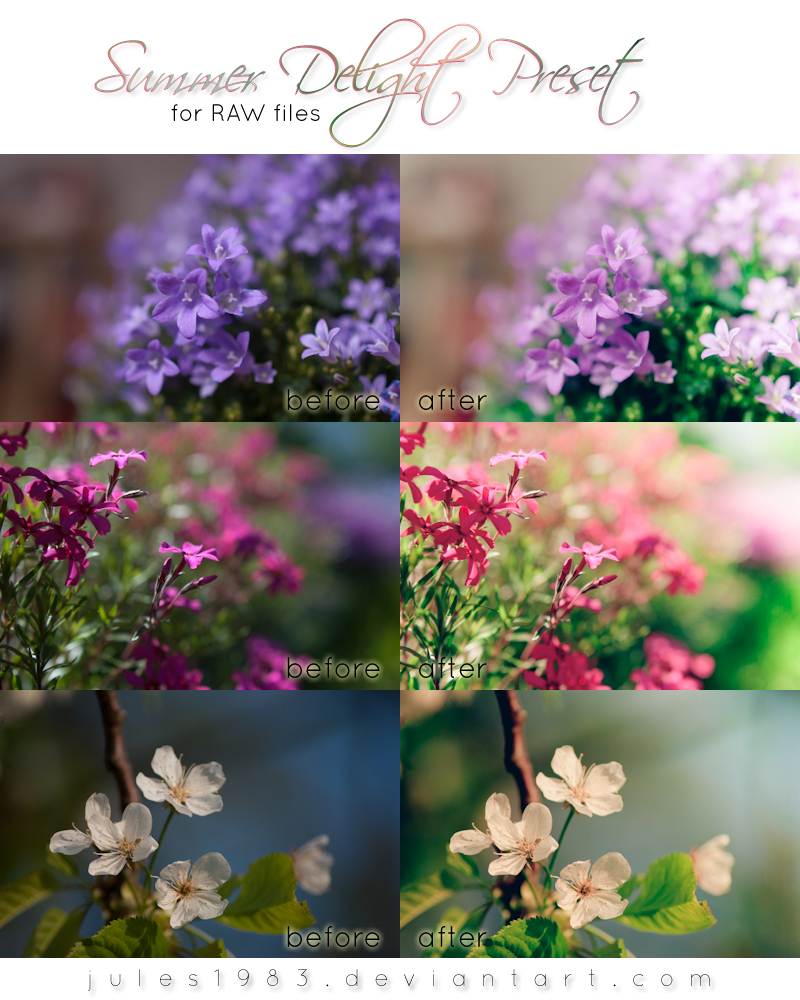 LR: Summer Delight Preset [RAW]