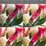 VDay Special: Valentine's Day [RAW Presets]