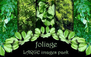 foliage - LARGE images pack