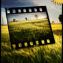 Free Film Frame