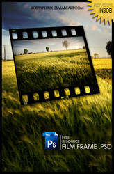 Free Film Frame