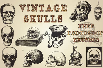 Vintage Skulls brushes for photoshop (free!)