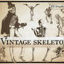 Weird Vintage Skeletons- free photoshop brushes