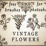 Vintage rustic floral brushes for photoshop - free